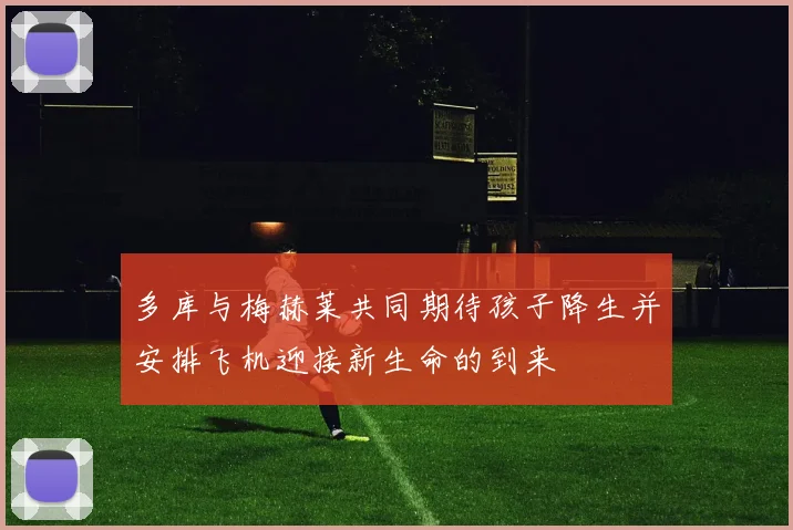 多库与梅赫莱共同期待孩子降生并安排飞机迎接新生命的到来