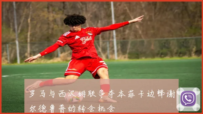 罗马与西汉姆联争夺本菲卡边锋谢尔德鲁普的转会机会