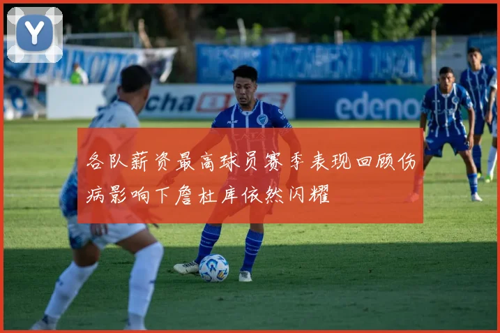 各队薪资最高球员赛季表现回顾伤病影响下詹杜库依然闪耀